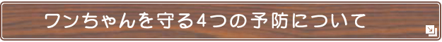 ワンちゃんを守る4つの予防について