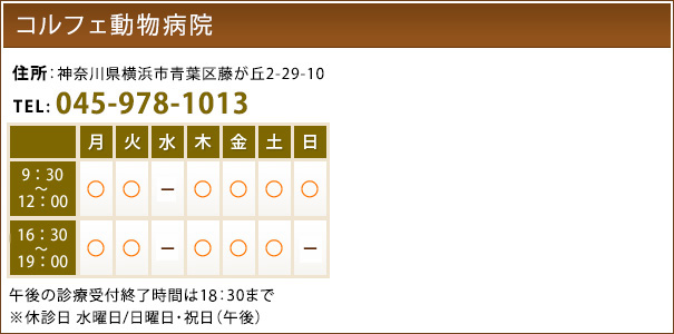 コルフェ動物病院