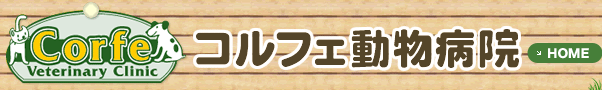 コルフェ動物病院【横浜市・青葉台】