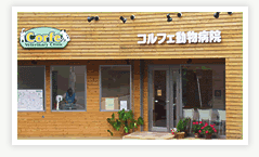 コルフェ動物病院