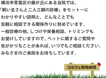横浜市青葉区の藤が丘にある当院では、「飼い主さんと二人三脚の診療」をモットーにわかりやすい説明と、どんなことでも気軽に相談できる関係作りに努めています。
